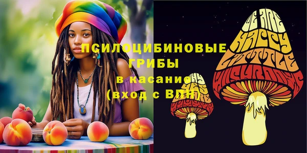 МДМА Дмитровск