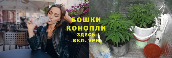 бутират Арсеньев